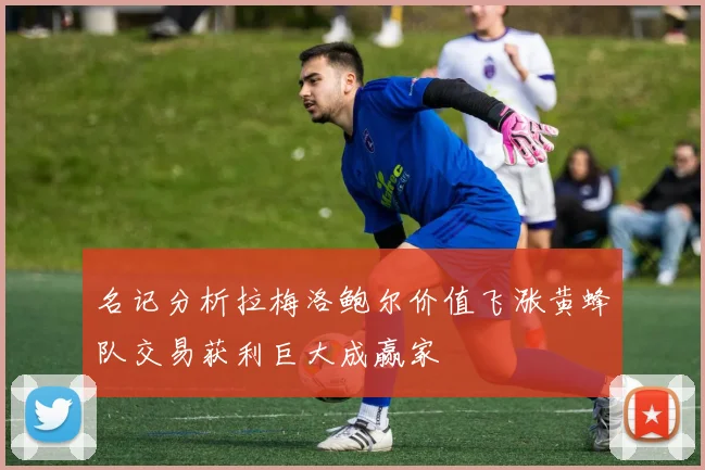 名记分析拉梅洛鲍尔价值飞涨黄蜂队交易获利巨大成赢家